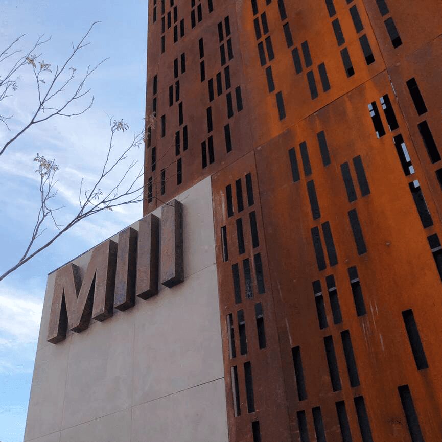 Ed. Millenial Henrique Hoffman 03 1920x1920 1 - Henrique Hoffman