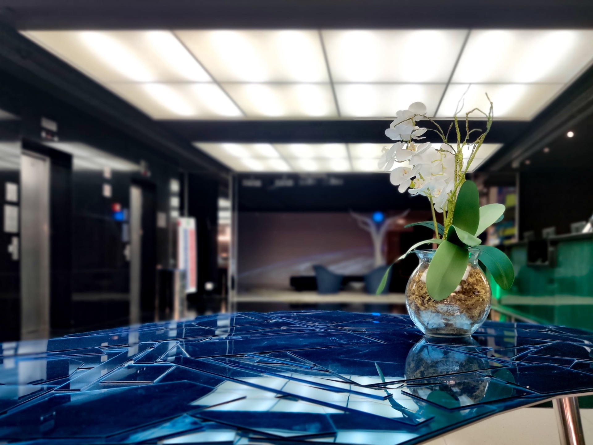 Ibis Confins Henrique Hoffman 4 1920x1920 1 - Henrique Hoffman